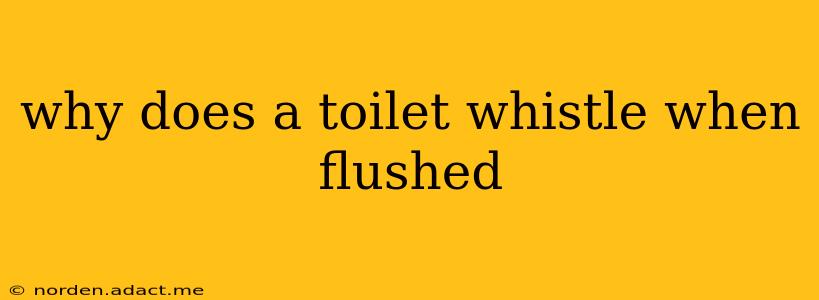 why does a toilet whistle when flushed