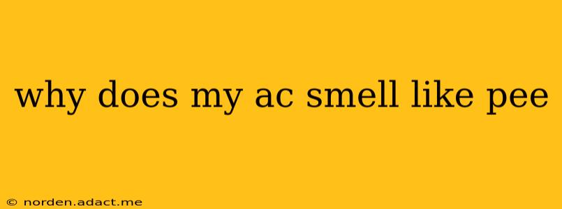 why does my ac smell like pee