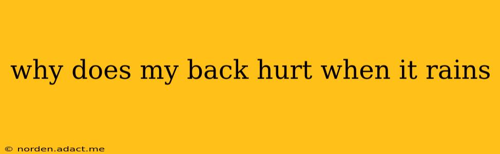 why does my back hurt when it rains
