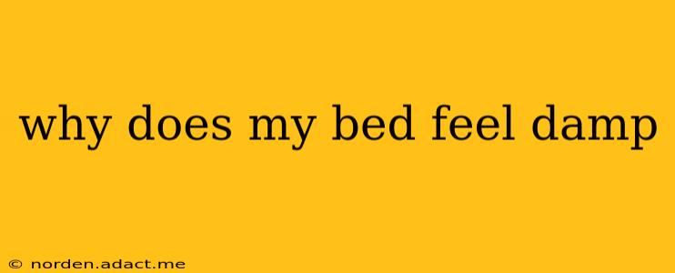 why does my bed feel damp