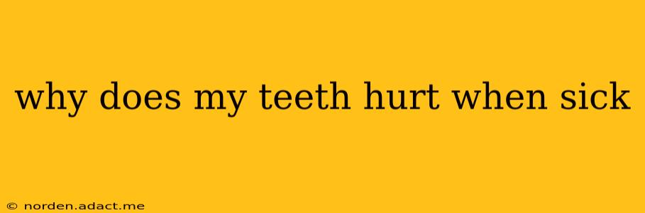 why does my teeth hurt when sick