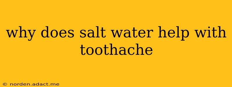 why does salt water help with toothache