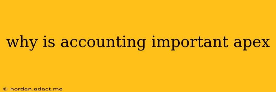 why is accounting important apex