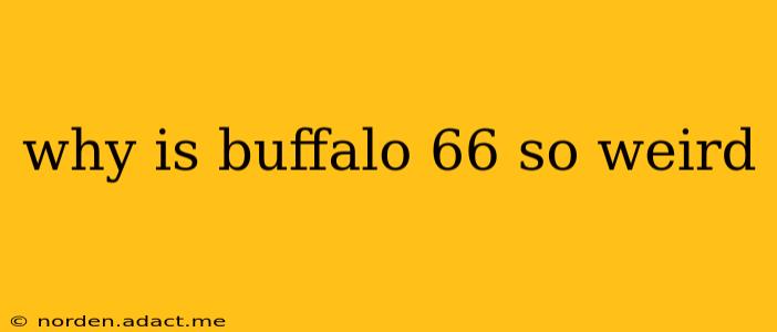why is buffalo 66 so weird