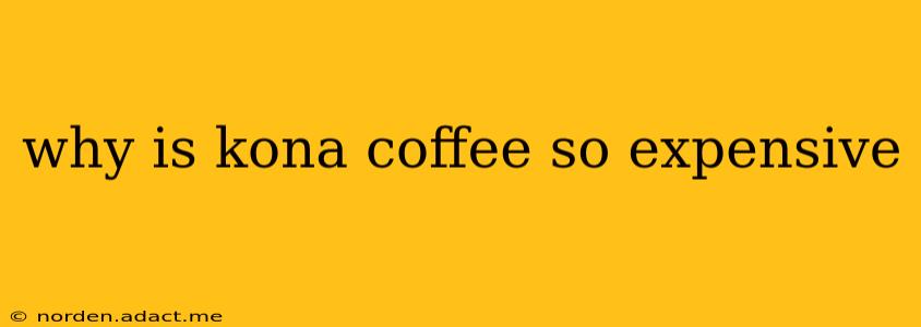 why is kona coffee so expensive