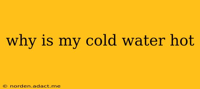 why is my cold water hot