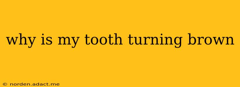 why is my tooth turning brown