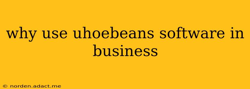 why use uhoebeans software in business