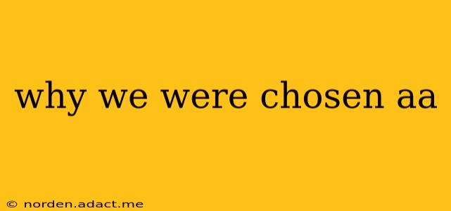 why we were chosen aa
