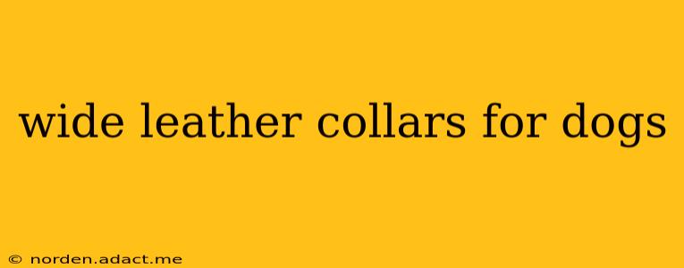 wide leather collars for dogs