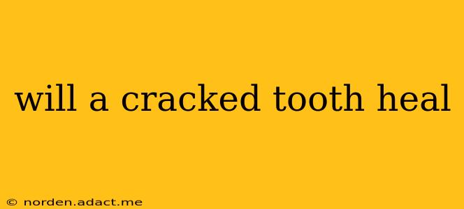 will a cracked tooth heal