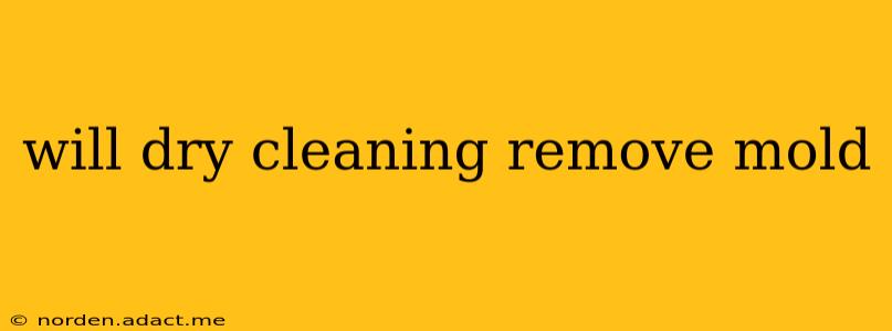 will dry cleaning remove mold