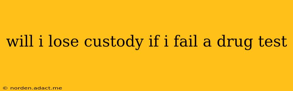 will i lose custody if i fail a drug test