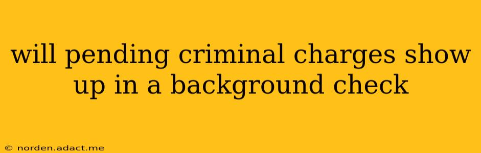 will pending criminal charges show up in a background check