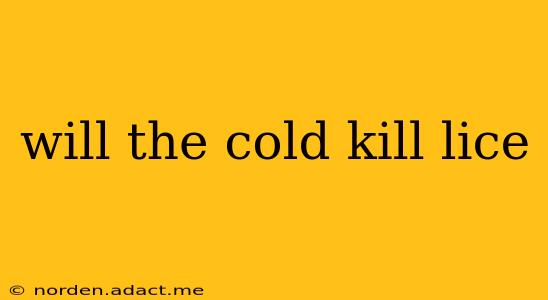 will the cold kill lice
