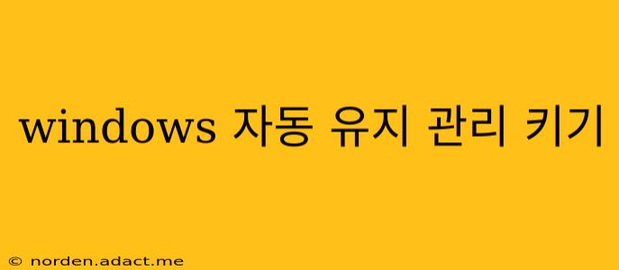 windows 자동 유지 관리 키기