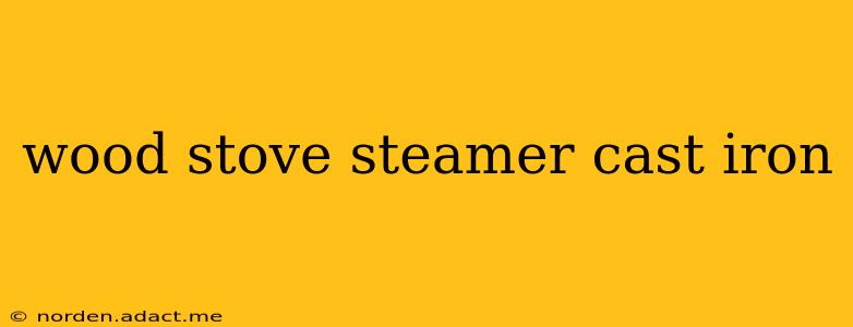 wood stove steamer cast iron