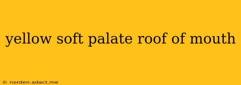 yellow soft palate roof of mouth