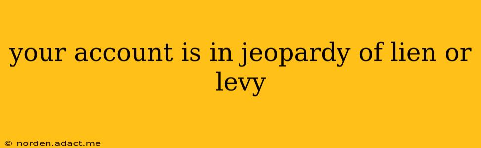 your account is in jeopardy of lien or levy