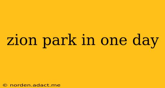 zion park in one day