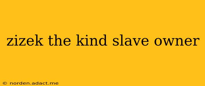 zizek the kind slave owner